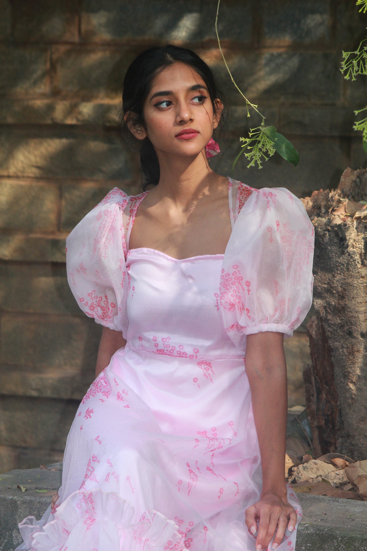 Rosy Organza Dress