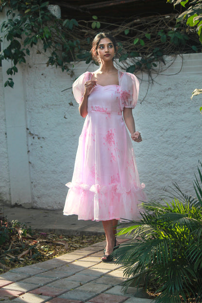 Rosy Organza Dress